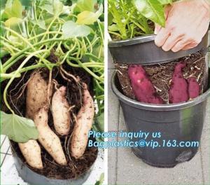 Buy cheap Tomato Potato Carrot Onion Peanut Growing Pot Garden Planter Pot,PP potato grow pot planting bag, bagplastics, bagease product