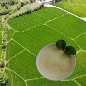Buy cheap OMRI list soy protein hydrolysate amino acid nitrogen16 Amino Acid Powder 85% Agriculture product