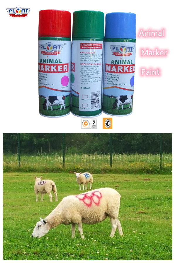 Buy cheap Plyfit Animal Marker Paint 500ml Aerosol Spray Paint For Animal Pig / Sheep / from wholesalers