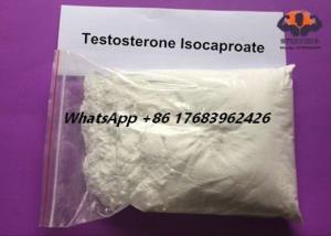 Buy cheap Cas 15262-86-9 Testosterone Anabolic Steroid Muscle Gain Testosterone Isocaproate product