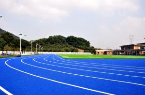 China Customized Blue Track And Field Rubber Runway No Smell Environmental Protection on sale