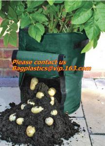 Buy cheap Horticulture, NURSERY, PLANTER, SEED, PLASTIC GROW BAGS, HYDROPONICS, FLOWERPOTS, BLACK product