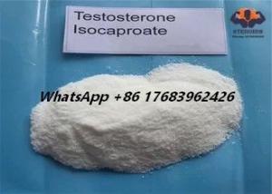 Buy cheap Cas 15262-86-9 Testosterone Anabolic Steroid Muscle Gain Bodybuilding Testosterone Isocaproate product