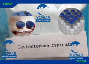 Test cyp equipoise cycle