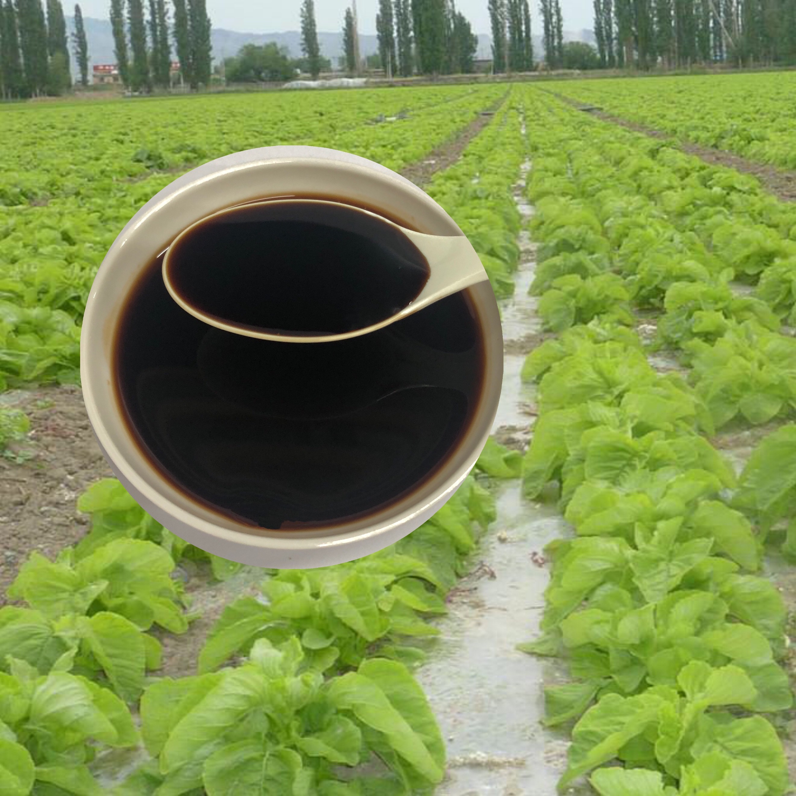 Buy cheap Soybean Source Hydrolysate Protein Amino Acid Liquid 30% Agricultural Fertilizer product