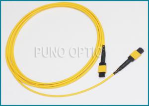 12 Fibers MPO Fiber Optic Cable /  Patch Cord Single Mode SM 3.0mm 9/125um