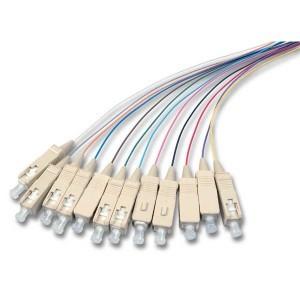 Buy cheap 12 Color Fiber Optic Pigtail 2 - 48 Cores Single / Multi Mode Various Connector Types product