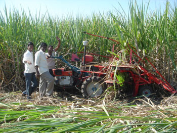 Buy cheap Sugarcane Haarvester Machine For Sale product
