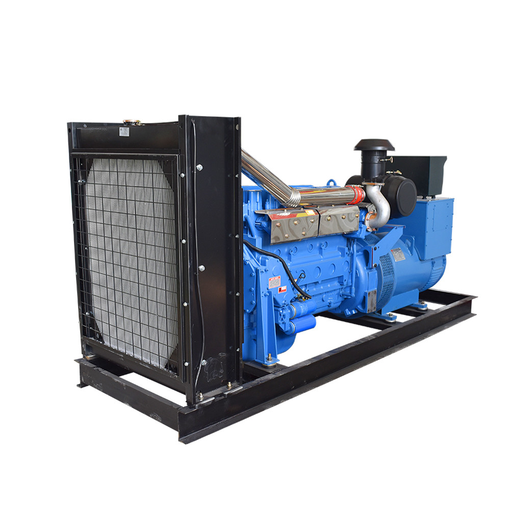 200kw Industrial Diesel Generators AMF ATS , Hospital Diesel Electric Generator