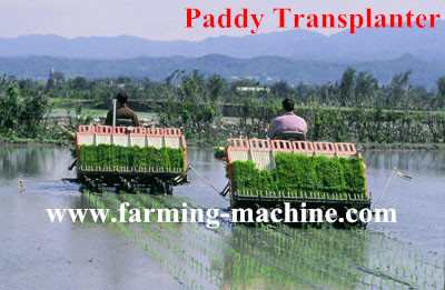 Buy cheap Paddy/Rice Planting Machine product