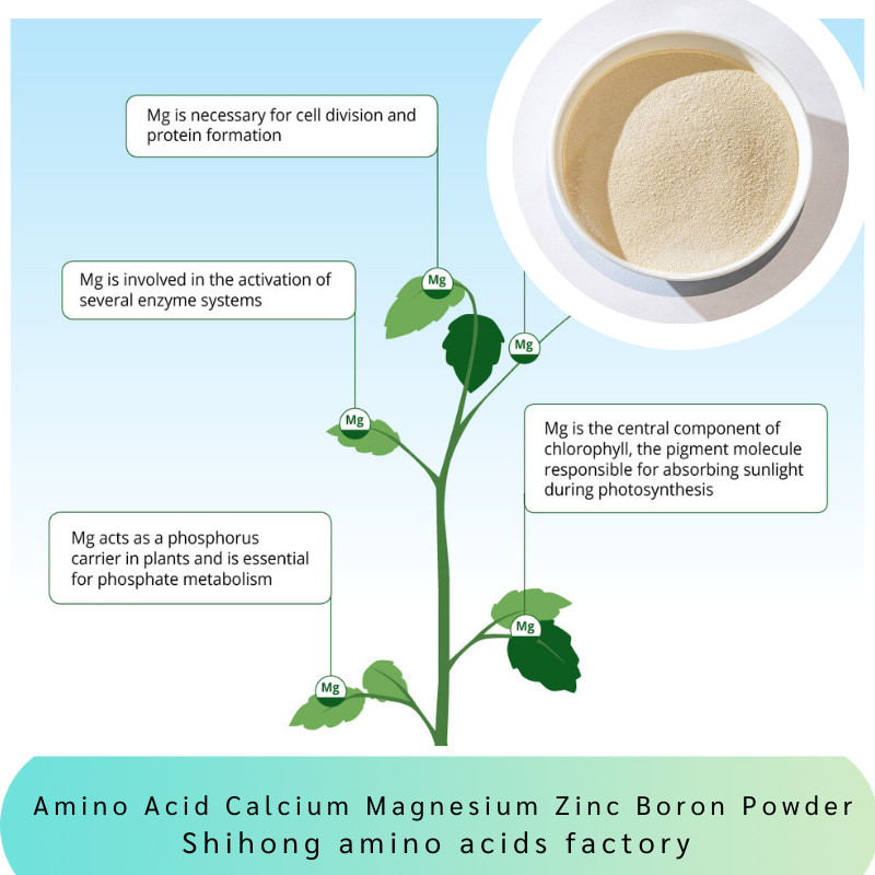 Buy cheap Mango Amino Acid Calcium Magnesium Zinc Boron Powder Fertilizer Vegetable Fruits from wholesalers