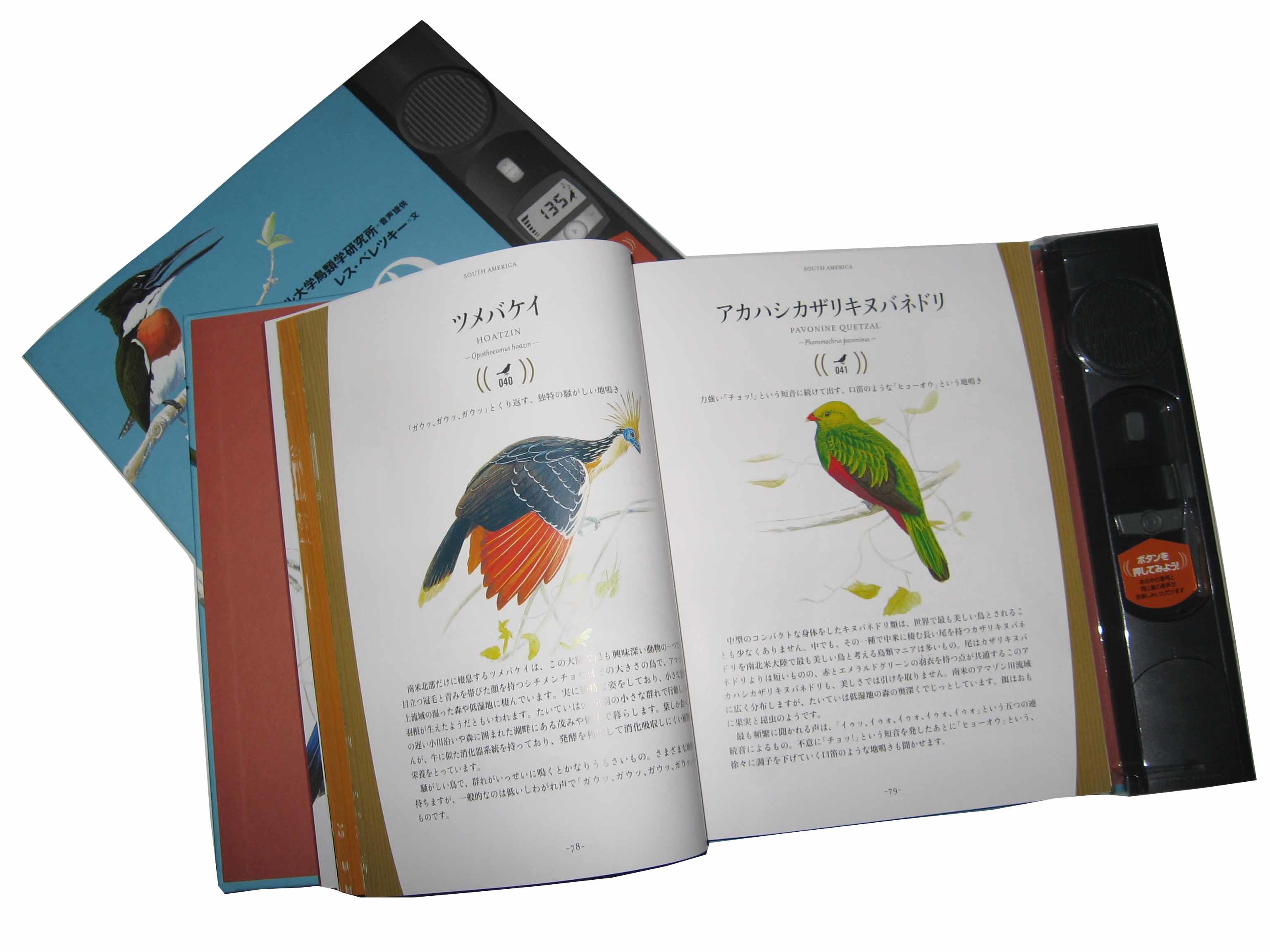 Buy cheap 200pp Custom Book Offset Printing Services Hardcover Magazine Catalogue Matte Lamination product