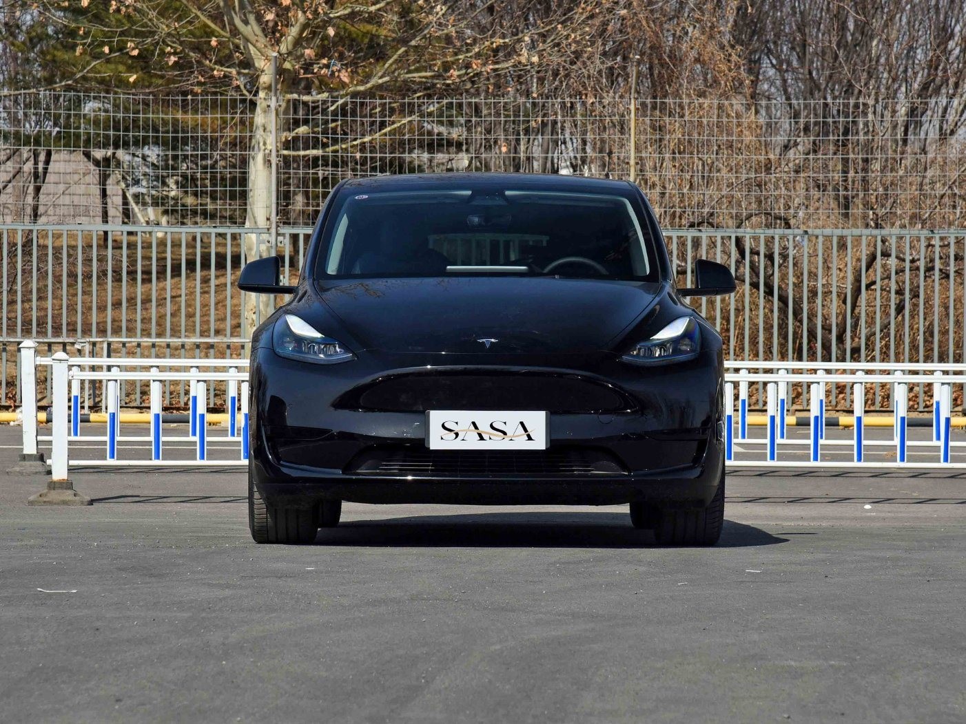 China 400Nm Tesla Latest Electric Car Single Drive Motor 4 Wheel Drive Sedans on sale