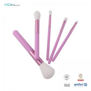 Buy cheap Nylon Hair Makeup Brushes Collection 5Pcs Travel Cosmetic Brush Set product
