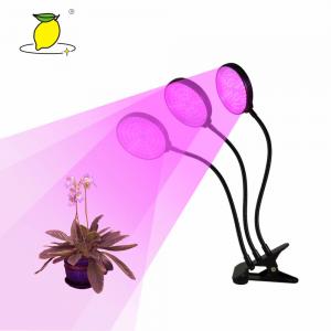 Buy cheap 12H Plant Grow Lamp product