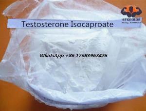 Buy cheap Muscle Gain Bodybuilding Testosterone Isocaproate Cas 15262-86-9 Raw Steroids Pwoder product