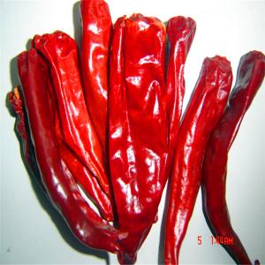 China 99% Purity Dried Red Chilli Peppers Stemless 10kg/25kg Bag Weight on sale