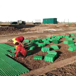 Buy cheap Green Parking and Garden Honeycomb Gravel Grass Paver Manufactured from HDPE Plastic product