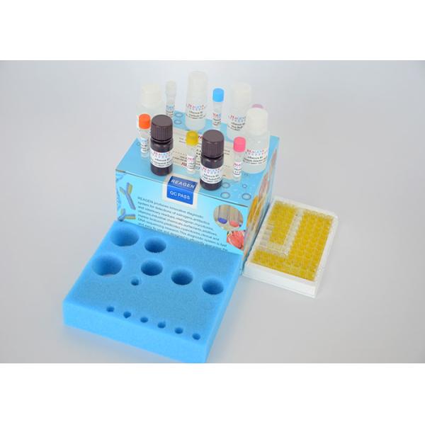 High Reproducibility Veterinary Residue Test Kit Streptomycin ELISA Test Kit