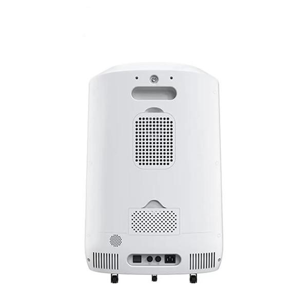 10 Liter Portable Oxygen Concentrator