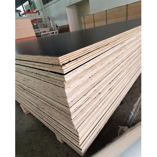 Color veneer plywood waterproof 15mm 18mm sheet plywood