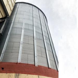 China High Capacity Stainless Steel Maize Corn Storage Silo for Paddy/Corn in Uganda Market on sale
