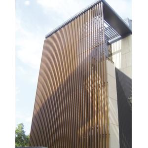 China Easily Assembled Privacy Style WPC Wall Panel 161*20 Rot Proof Wpc Garden