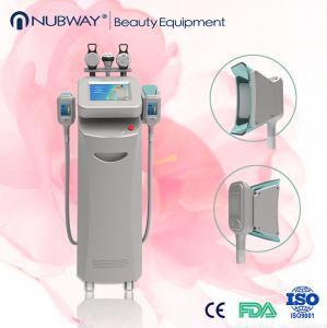 China 2016 popular Cryolipolysis slimming Beauty machine for freezing fat cell with CE approval on sale