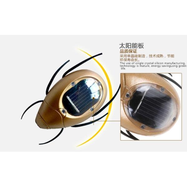 Durable Solar Insect Pest Control Device Energy Saving Solution for Agricultural Fields and Gardens