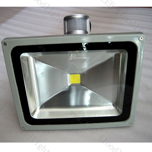 20W led flood light / 12V~24V 20W LED Flood light PIR Series
