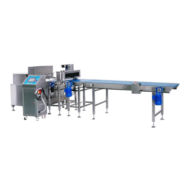 Six-Line High-Output Energy Bar Production Machine with Multi-Row Extrusion System