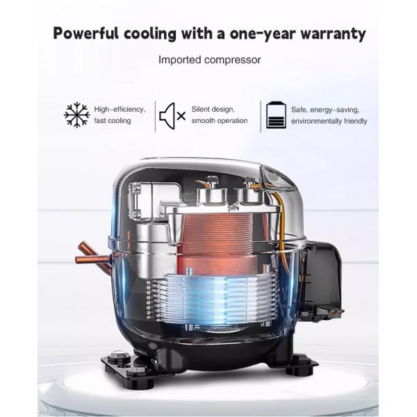 -45°C Ultra-Low Temperature Shock Freezer Professional Fast Freezing Cabinet for Restaurants
