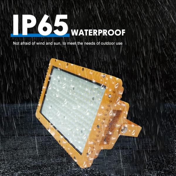Easy Install IP66 Explosion Proof Lamp with 50W-200W Power Range for Hazardous Locations