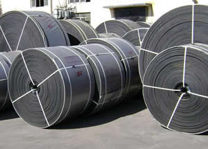 Nylon Conveyor Belt