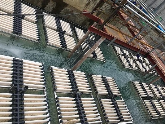 Water Purification PTFE PVDF Hollow Fiber Membrane for Waste Drink Water/Effluent/Sewage Treatment Biogas Treating