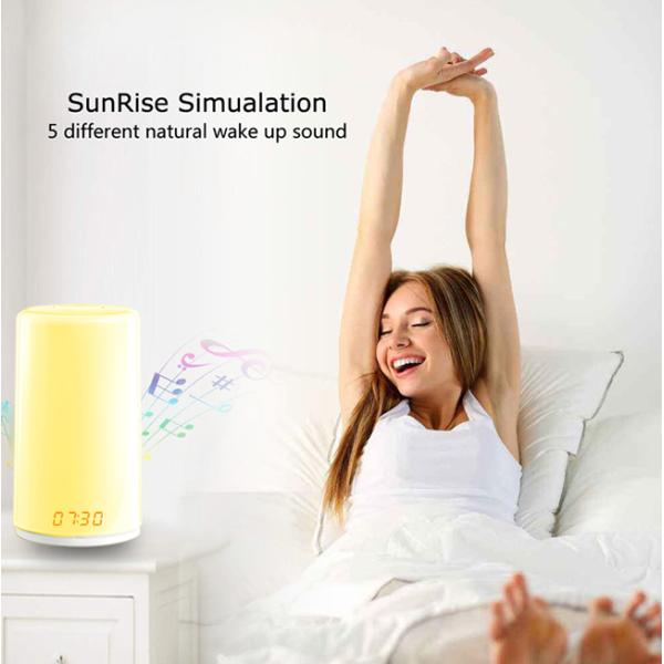Touch Sensor LED Wake Up Light Dimming Sunrise Alarm Clock With Nature Sounds