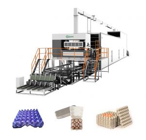 China Paper Quail Egg Tray Making Machine Fully Automated Egg Box Machine on sale