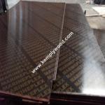 One time hot pressed film faced plywood, Construction shuttering plywood, Marine