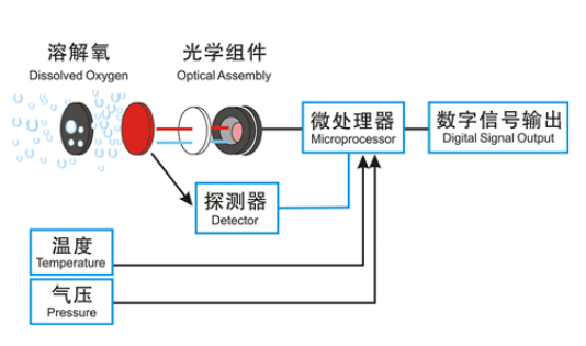 Submerged Dissolved Water Oxygen Sensor o2 DO Probe ODM Response time is 10 seconds