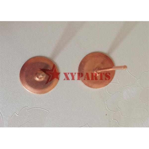 20 Mm Copper Dics Roofing Rivets Fix Fibre Cement Slates
