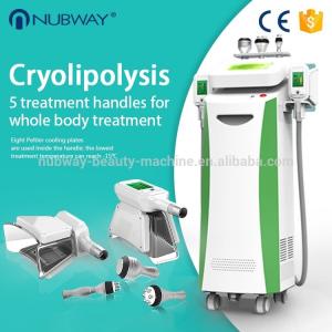 cryolipolyisis slimming/ cryolipolysis fat freezing weight loss/ Cool sculpting  machine