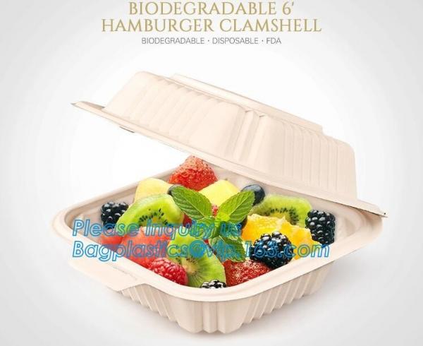 Fast food container disposable take away plastic lunch box,Avocado Onion Tomato vegetable food fresh Saver Plastic Stora