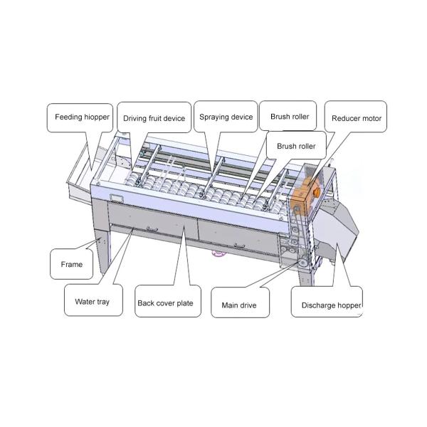 5t/H Adjustable Speed Fruit Vegetable Processing Equipment Washer