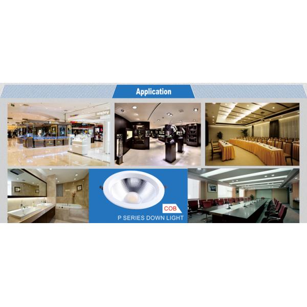 COB Recessed LED downlight 20w