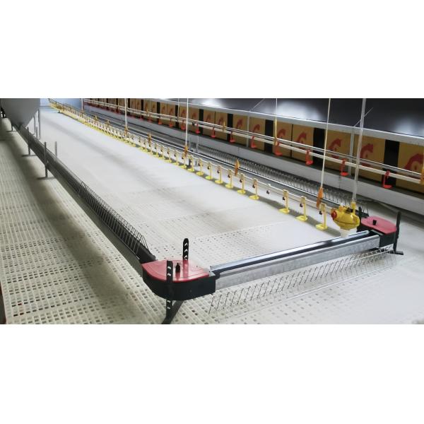 Non Slip Poultry Farm Equipment Plastic Slatted Flooring For Broiler Chicken
