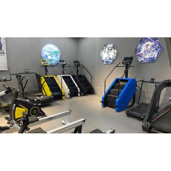 Gym Stair Climber Commercial Stairmaster Equipment Stepper Exercise