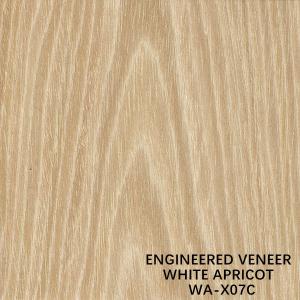 Buy cheap Natural Apricot X07C Crown Cut Man Made Wood Veneer For Face Veneer Of Door / Cabinet product