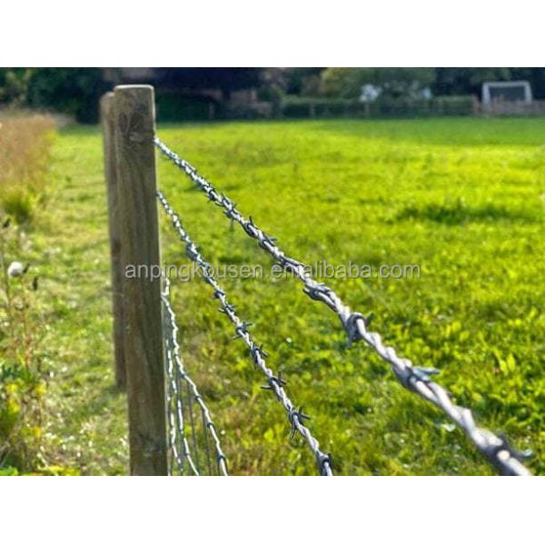 Hot Dip Galvanized Diamond Shape Cyclone Wire Mesh Chain Link Fence with Top Barbed Wire