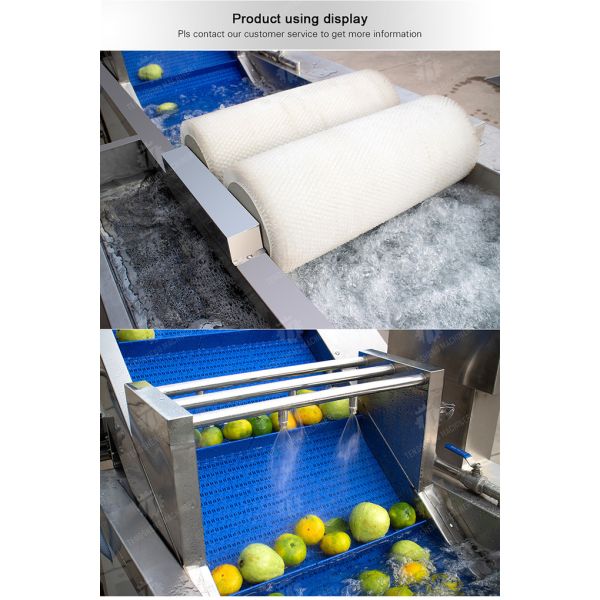 250KG Fruit and vegetable washing machine automatic sterilization washing machine fruit and vegetable processing