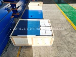 China                  Stable Weighing Platform Scale 1000kg Weighing Digital Scales              on sale
